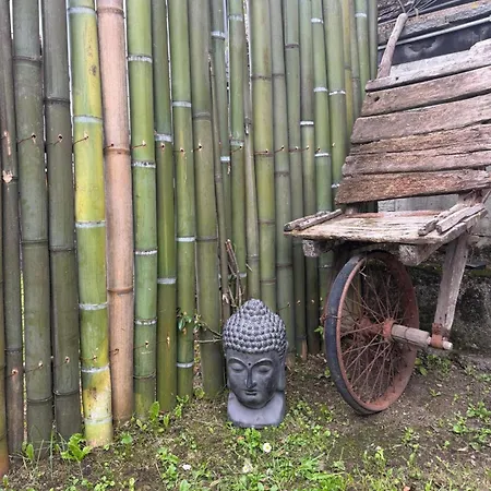 Apartament Levoasi 3 - Garden, Jacuzzi And Sauna Escape *
