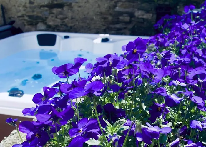 Levoasi 3 - & Mountain View Escape Levo