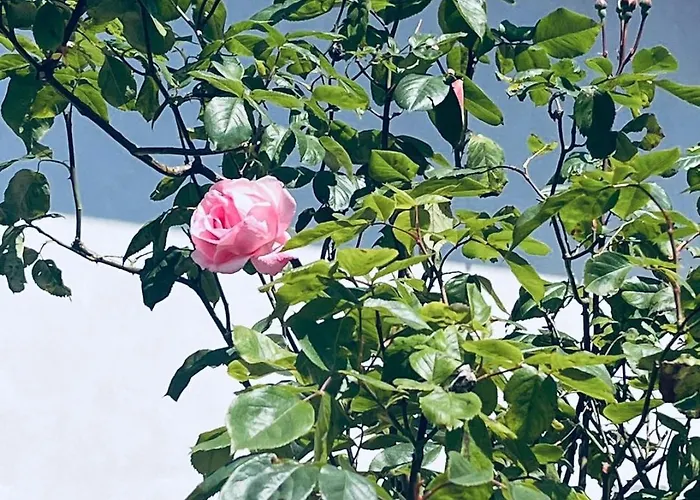 شقة Levoasi 3 - & Mountain View Escape Levo